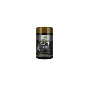 CART UP2 COLÁGENO TIPO 2 + MSM